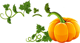 Wholesale Pumpkin Supplier in Midwest