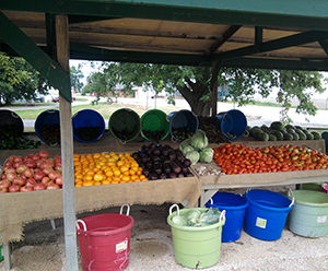 Farmers Market & Vegtable Stands in Missouri