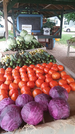 Missouri Farmers Market & Vegetable Stands